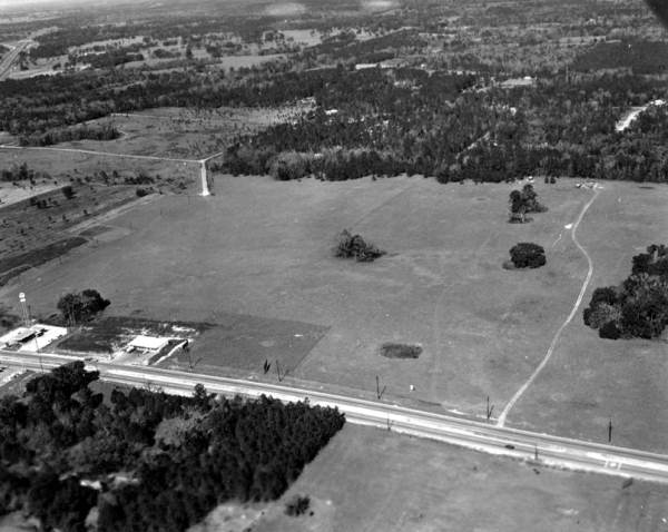 Aerial view of a Gainesville landscape.