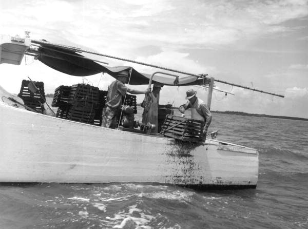 Fishermen pulling lobster traps off Key Biscayne - Miami, Florida .