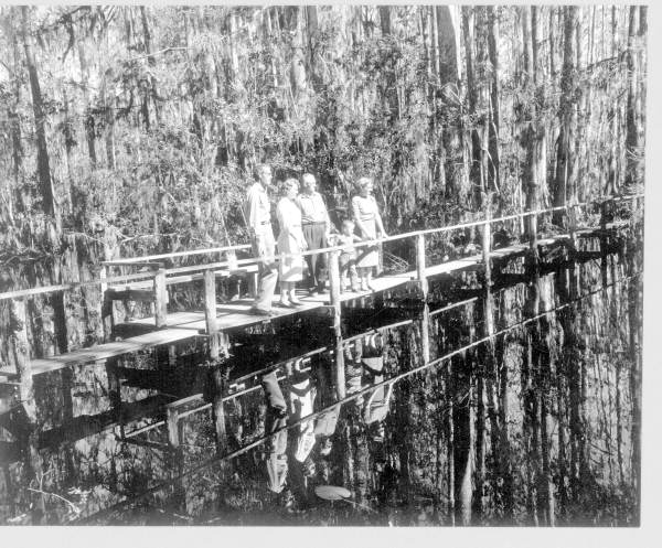 Tourist on the cypress swamp walkway - Sebring, Florida .