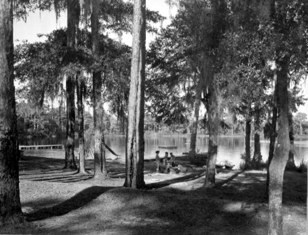 Picnicking at Silver Lake - Leon County, Florida .