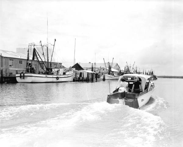 Harbor - Apalachicola, Florida.