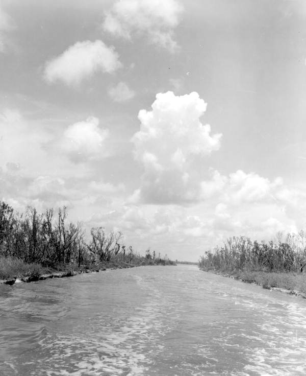 View of a waterway .