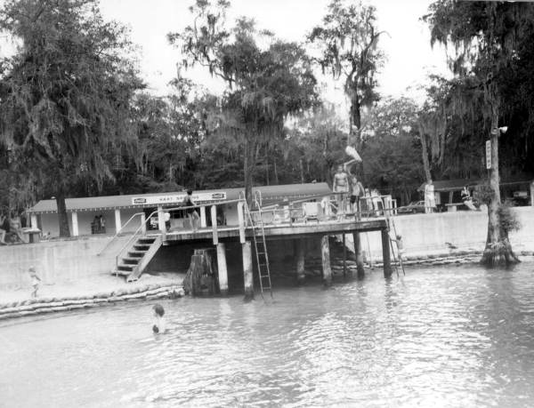 Swimmers enjoy the swimming area at the spring - Gilchrist County, Florida