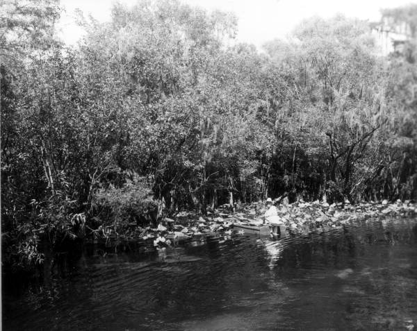 Boater at the Hart Springs - Gilchrist County, Florida