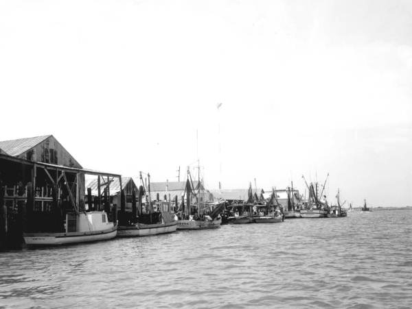 Fishing boats docked in harbor - Apalachicola, Florida.
