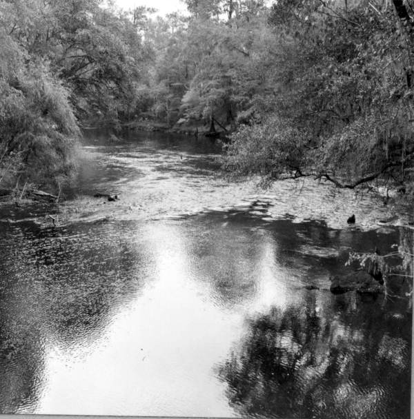 View of Santa Fe River - High Springs, Florida.