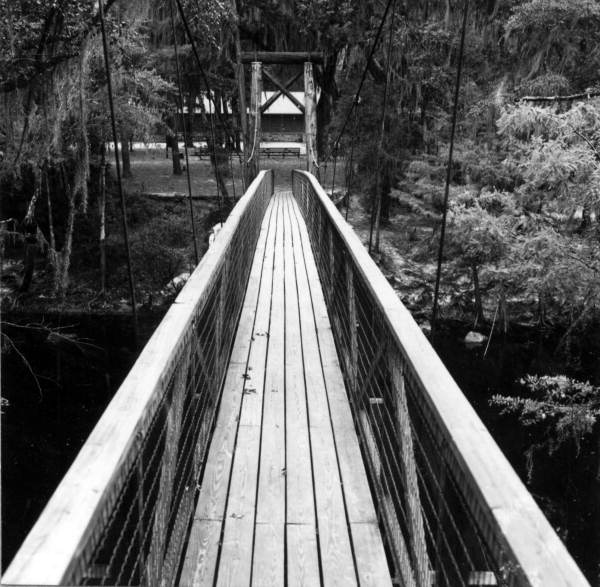 Swinging bridge at Oleno State Park - High Springs, Florida.