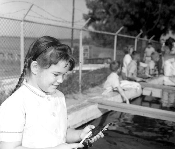 Zoe Ellen Parker scrubbing turtle at House of Refuge - Stuart, Florida