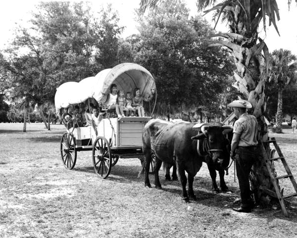 Children in oxen pulled wagon - Myakka River State Park, Florida.