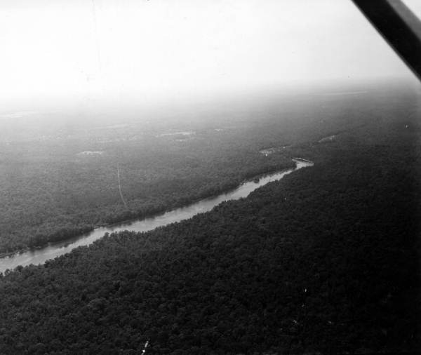 Aerial view of the Wakulla River