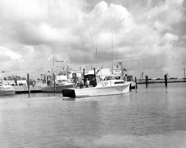"Wahoo" sits in front of Whale Harbor Chesapeake Docks - Islamorada, Florida