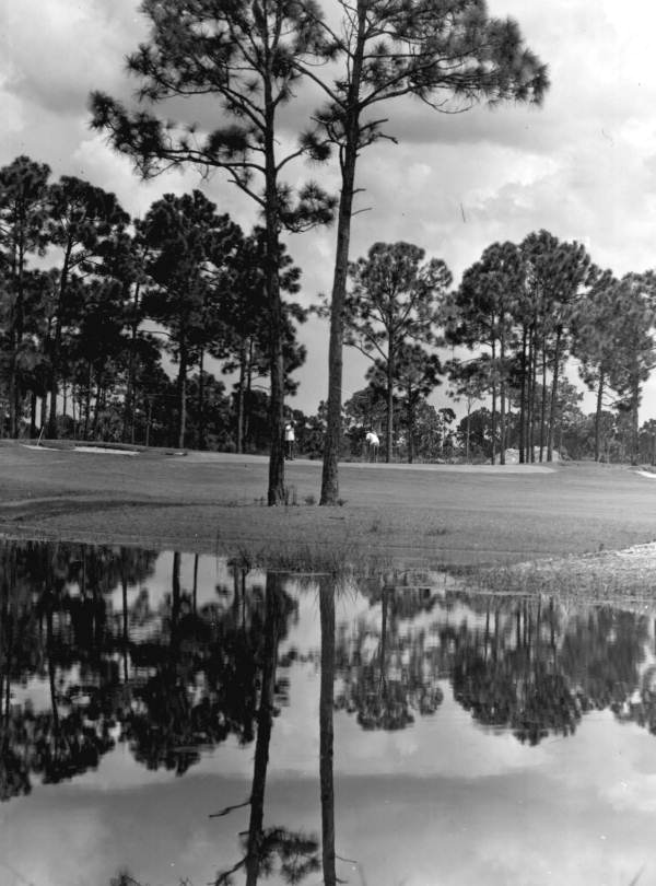 Golfers at a golf course - Amelia Island, Florida
