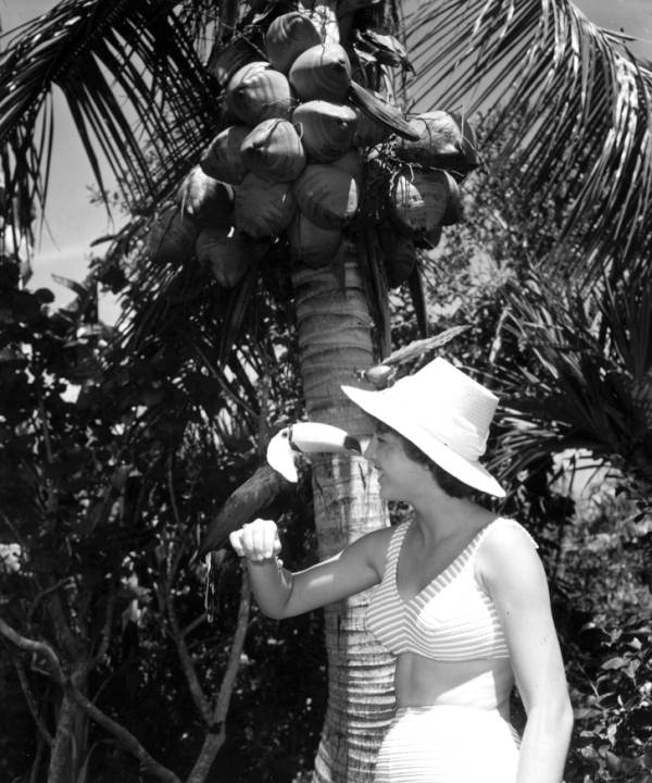 Young woman holding a toucan at Caribbean Gardens - Naples, Florida