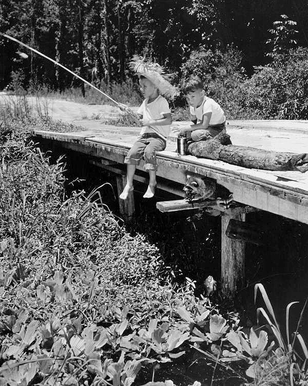 Two boys fresh water fishing with their two raccoons