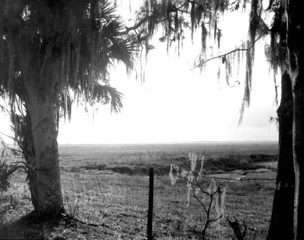 Paynes Prairie