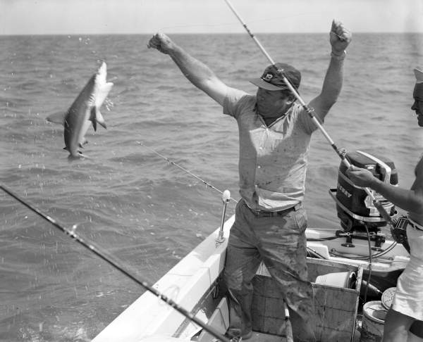 Fishermen reeling in a small shark - Marquesas Keys, Florida