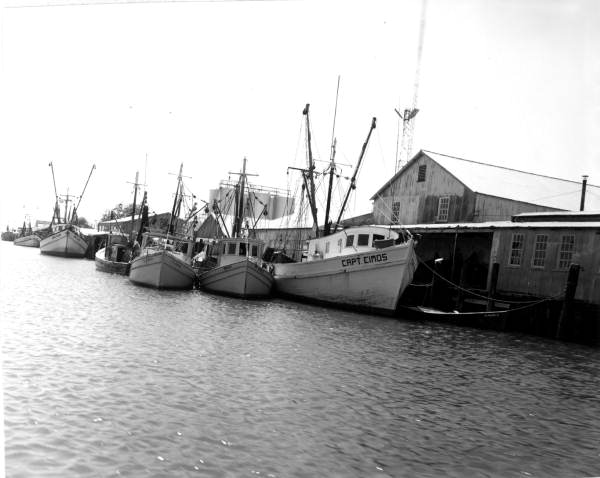 Shrimp boats moored along the docks - Apalachicola, Florida