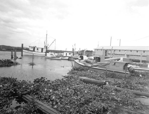 Kirvin Oyster House - Apalachicola, Florida.