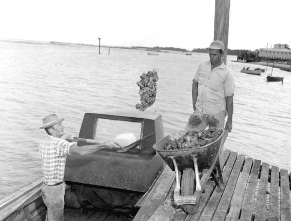 Unloading an oyster boat at the dock - East Point, Florida