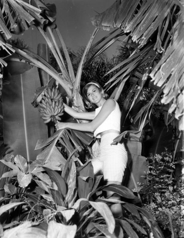 Young woman poses next to a banana tree at Sarasota Jungle Gardens - Sarasota, Florida.