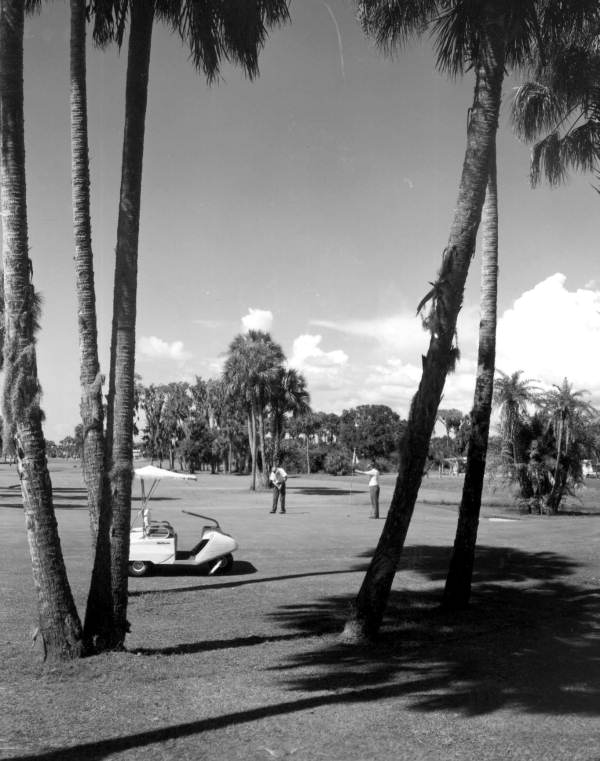 Golfers on the golf course - Bradenton, Florida