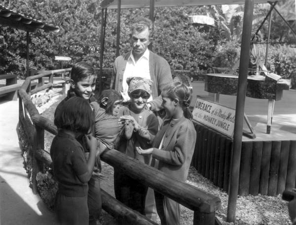 Children enjoying antics of chimpanzee at Monkey Jungle - Miami, Florida.