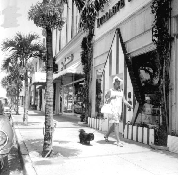 Woman shopping on Worth Avenue while walking her dog - Palm Beach, Florida.
