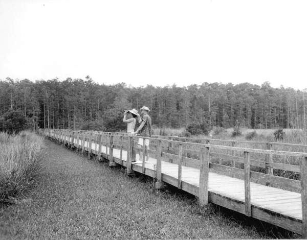 Sightseers on Corkscrew Swamp nature trail - Immokalee, Florida