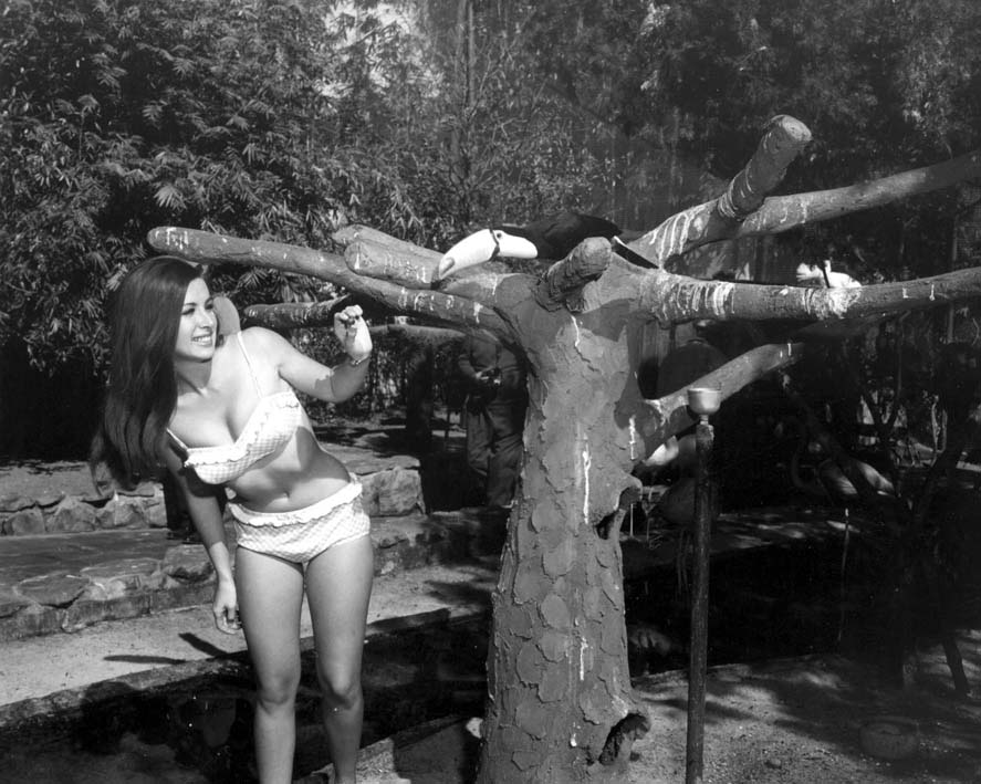 Young woman feeds a toucan at Sunken Gardens - Saint Petersburg, Florida.
