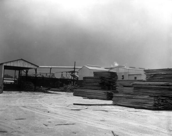 View of lumber at the Georgia Pacific Corporation - Chiefland, Florida