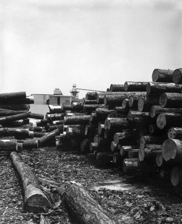 Fine plywood and hardwood lumber at Georgia Pacific Corporation - Chiefland, Florida