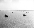 Oyster boats