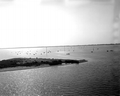 Oyster boats