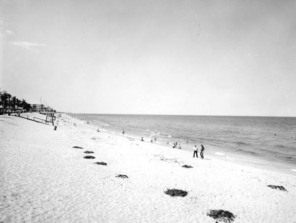 View of the beach.