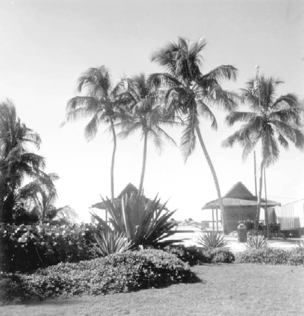 Huts on the beach