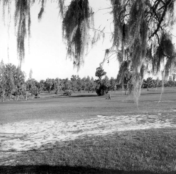Golfer on the golf course - Wauchula, Florida