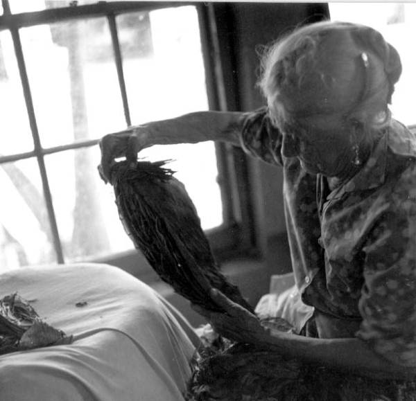 Old woman making a cigar in the Key West cigar factory - Key West, Florida.