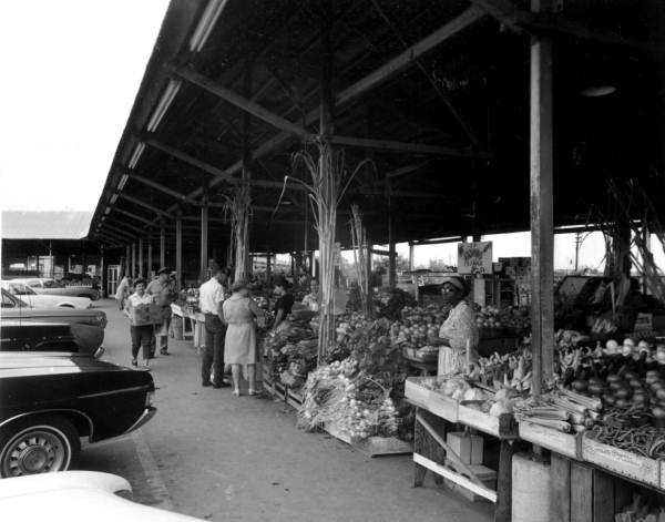 Farmers' market - Jacksonville, Florida.