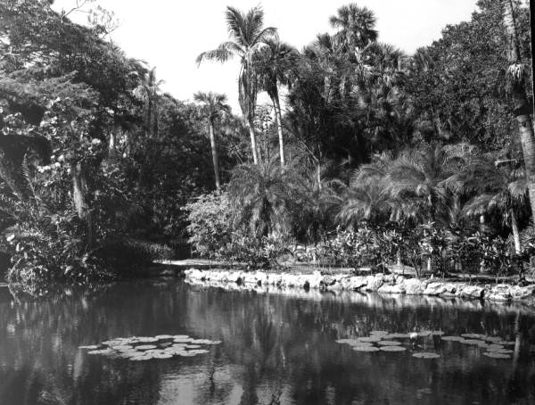 McKee Jungle Gardens - Vero Beach, Florida.