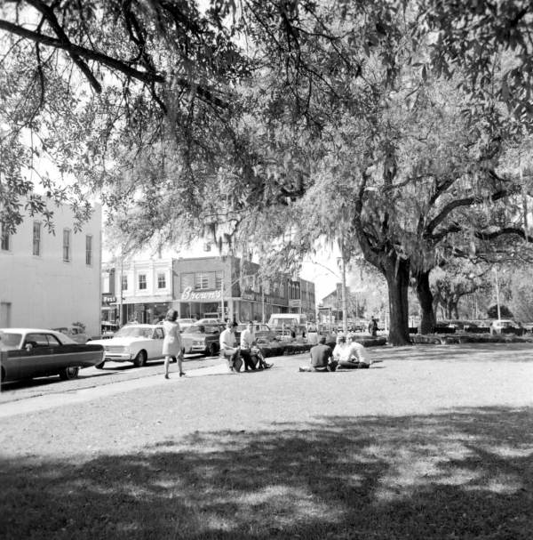 Picnicking in the park - Tallahassee, Florida