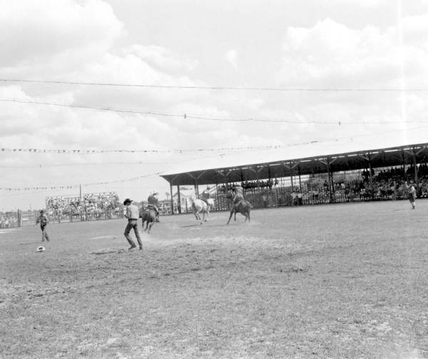 Rodeo during the Seminole Indian "Chalo Nitka" festival - Moore Haven, Florida.