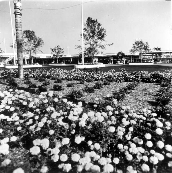 View of flower beds at the Magic Kingdom - Orlando, Florida.