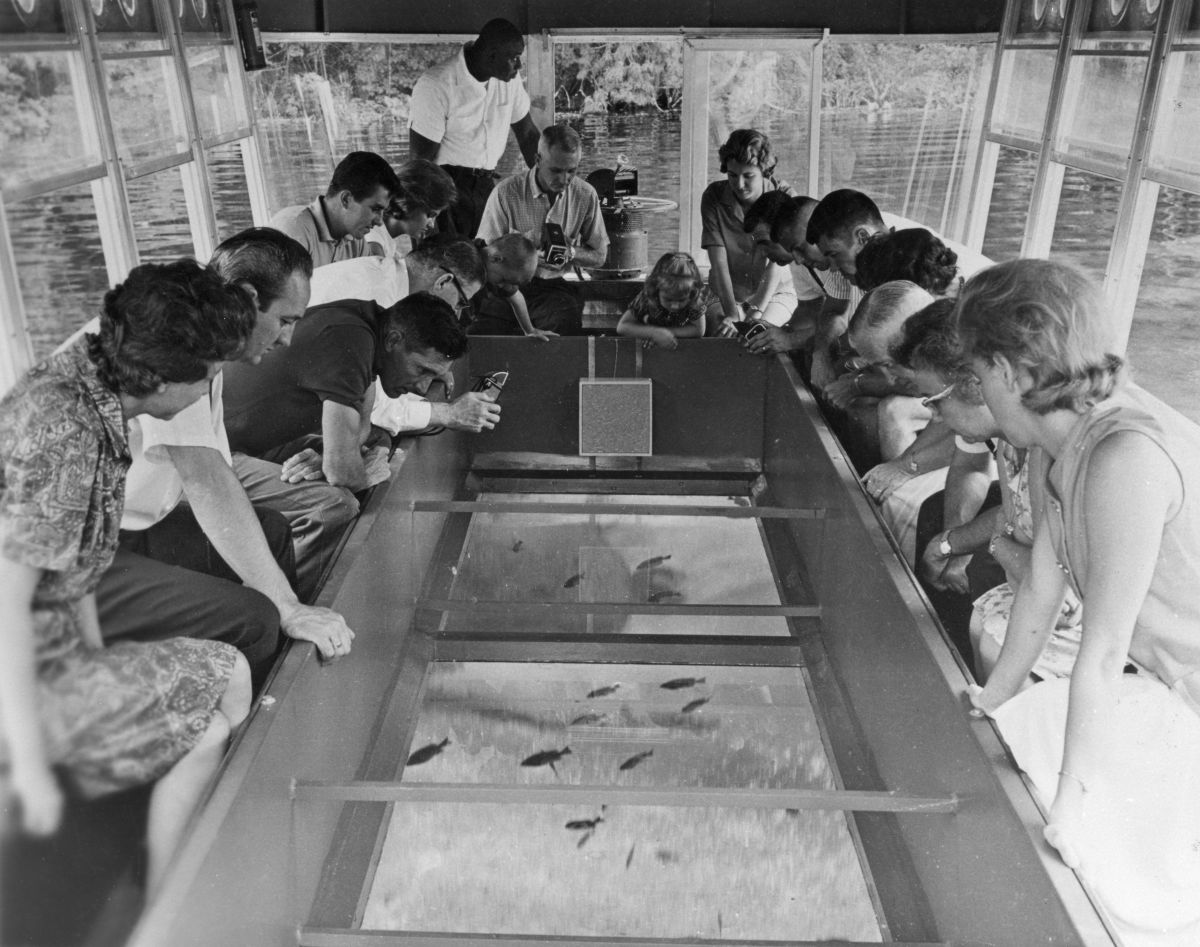 Tourists in a glass-bottom boat at Silver Springs - Ocala, Florida .