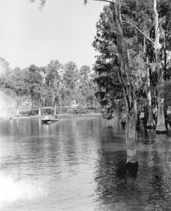 Canoe races at Rainbow Springs