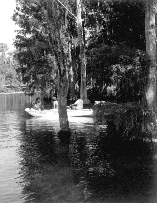 Canoe races at Rainbow Springs
