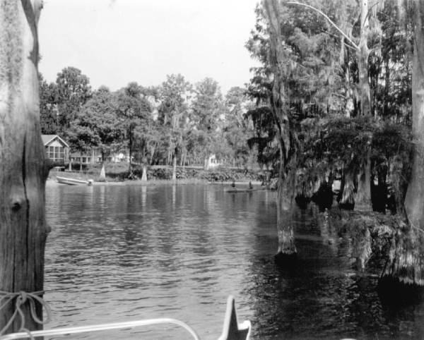 Canoe races at Rainbow Springs
