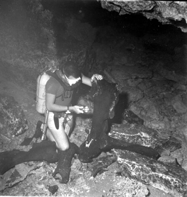Diver investigates objects in the spring - Wakulla Spring, Florida
