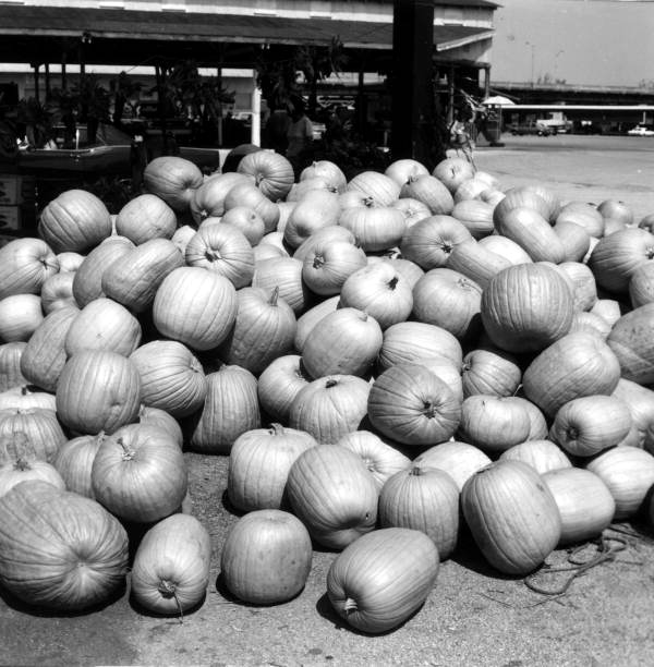 Pumpkins at the Beaver Street Market - Jacksonville, Florida