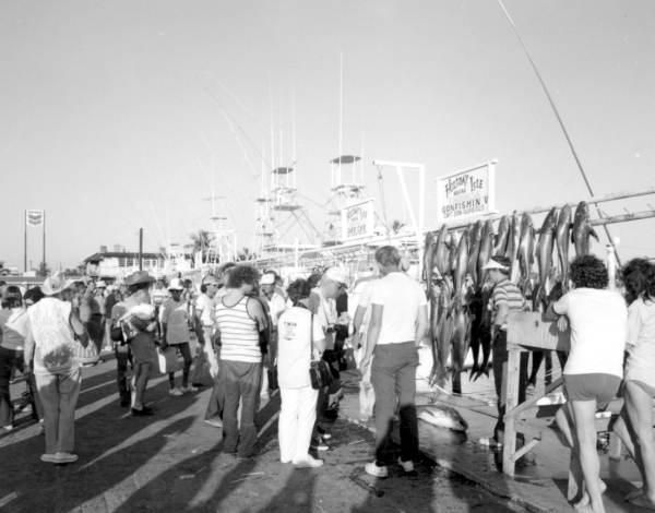 People gathering for deep sea fishing at the Holiday Isle marina - Islamorada, Florida