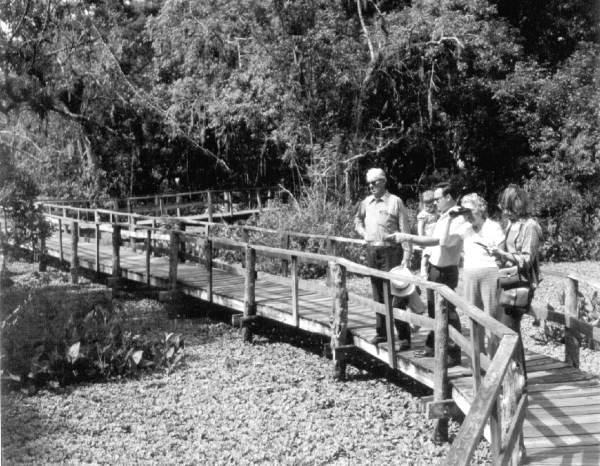 Sightseers at Corkscrew Swamp near Immokalee, Florida.